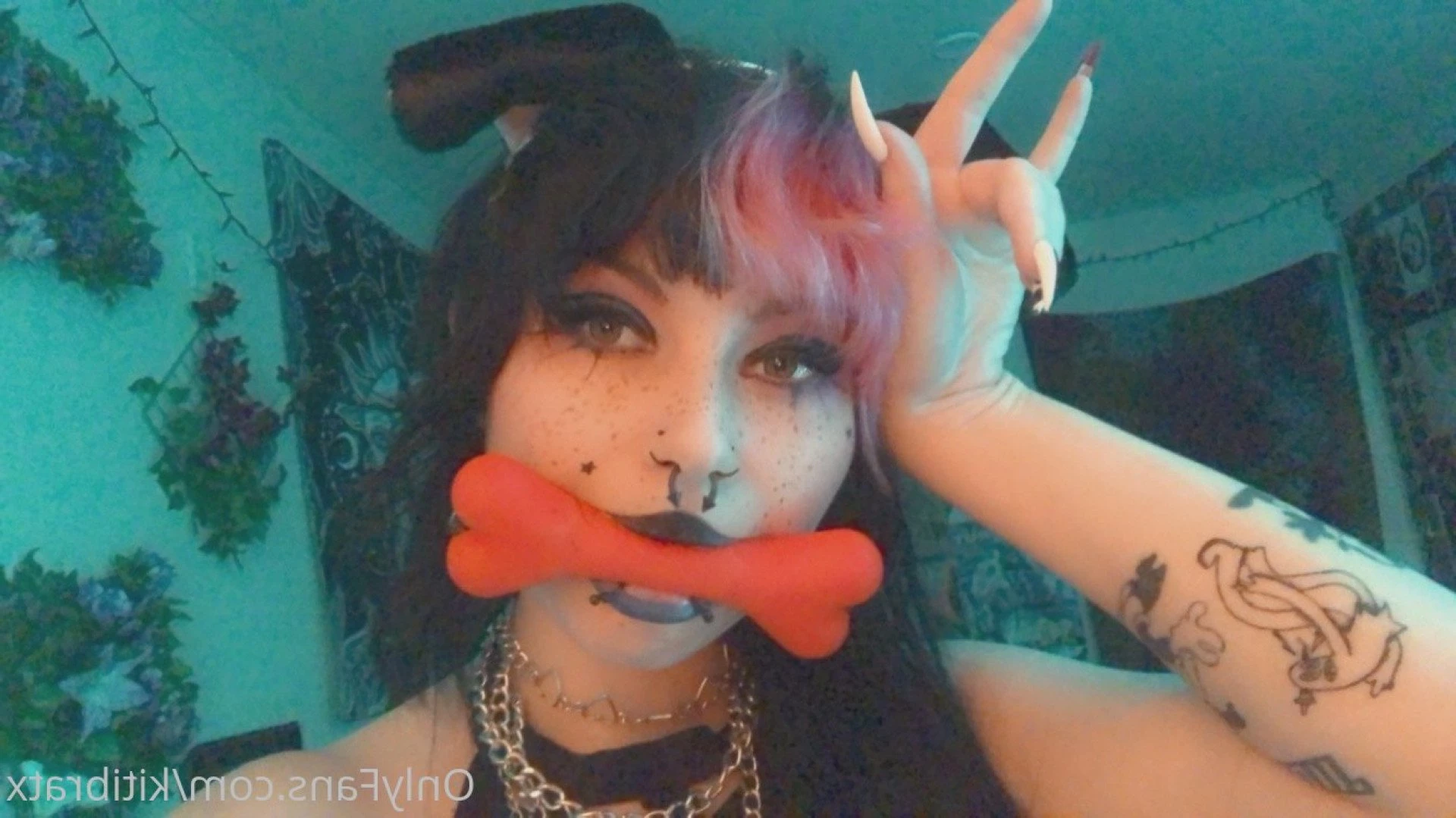 kitibratx Onlyfans leaked photo 3223027 on Hotleaks.tv
