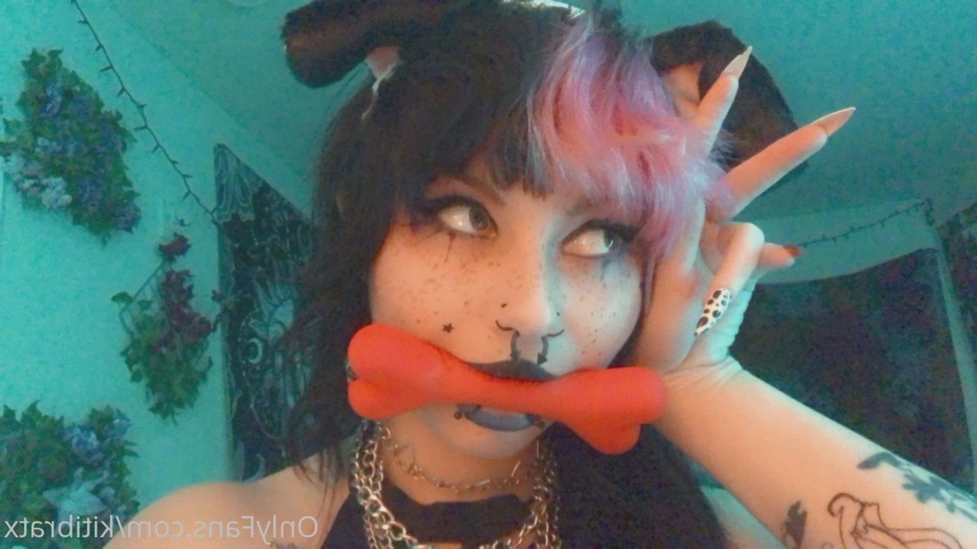 kitibratx Onlyfans leaked photo 3223471 on Hotleaks.tv