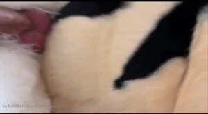 Knot 'n' Load Studios [ knotnloadstudios ] Onlyfans leaked video 3976603 on Hotleaks.tv