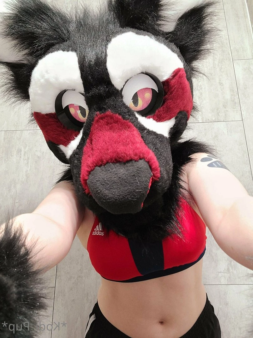 Kodi [ kodi_pup ] Onlyfans leaked photo 3194498 on Hotleaks.tv