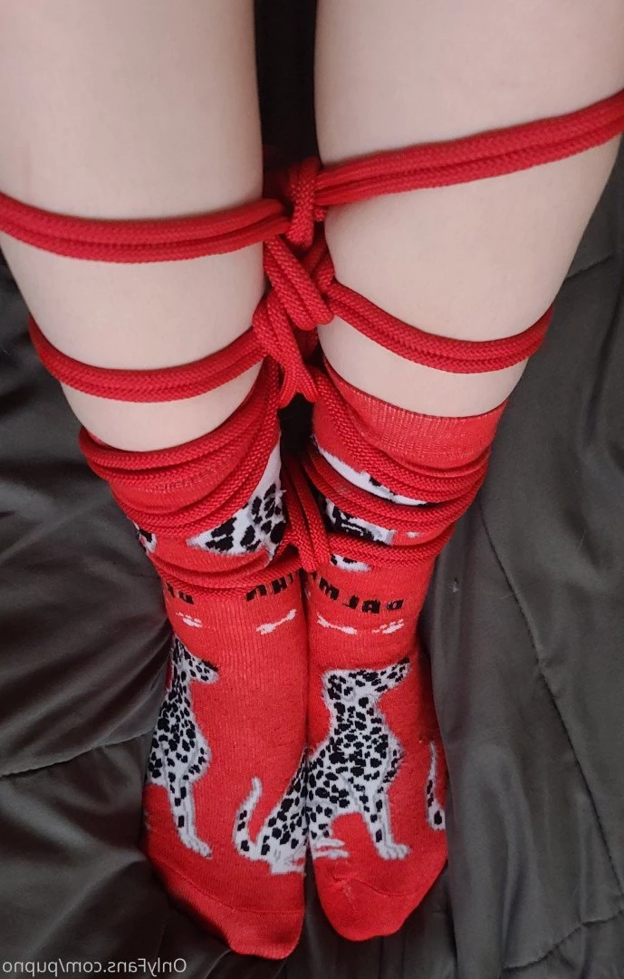 Kodi [ kodi_pup ] Onlyfans leaked photo 3195970 on Hotleaks.tv