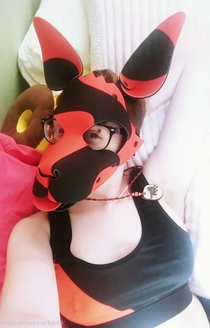Kodi [ kodi_pup ] Onlyfans leaked photo 3198272 on Hotleaks.tv