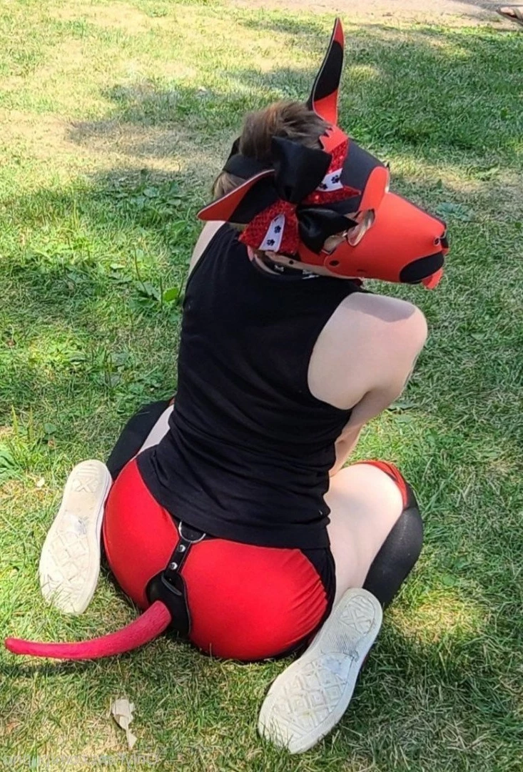 Kodi [ kodi_pup ] Onlyfans leaked photo 3199085 on Hotleaks.tv
