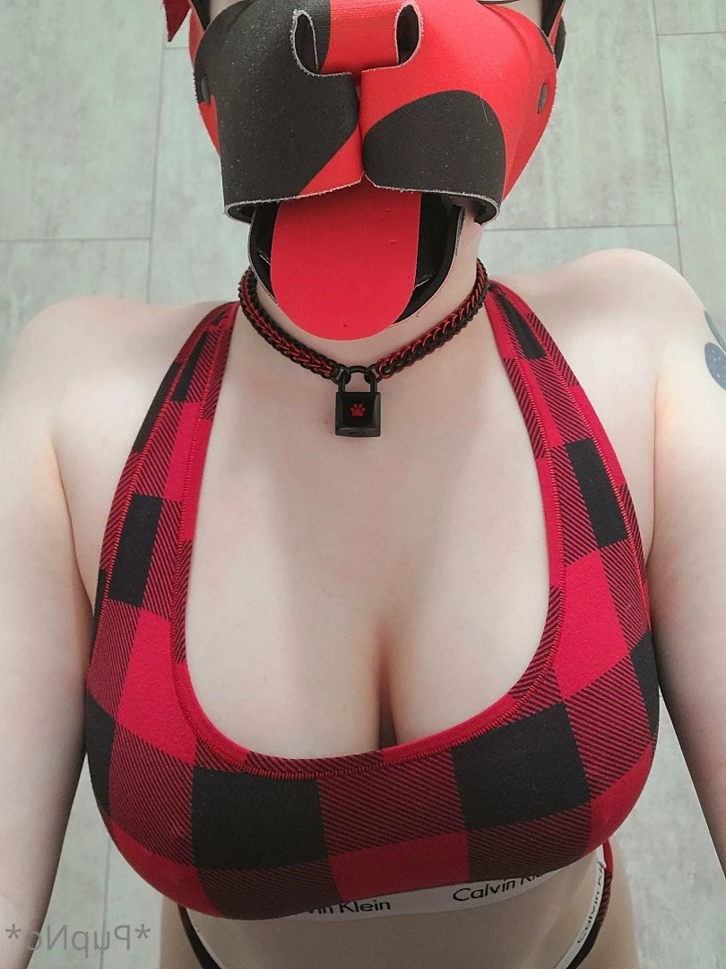 Kodi [ kodi_pup ] Onlyfans leaked photo 3199856 on Hotleaks.tv