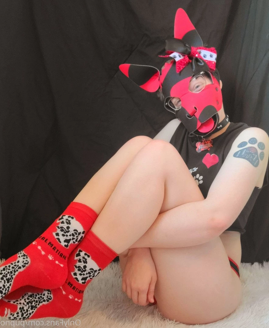 Kodi [ kodi_pup ] Onlyfans leaked photo 3199974 on Hotleaks.tv