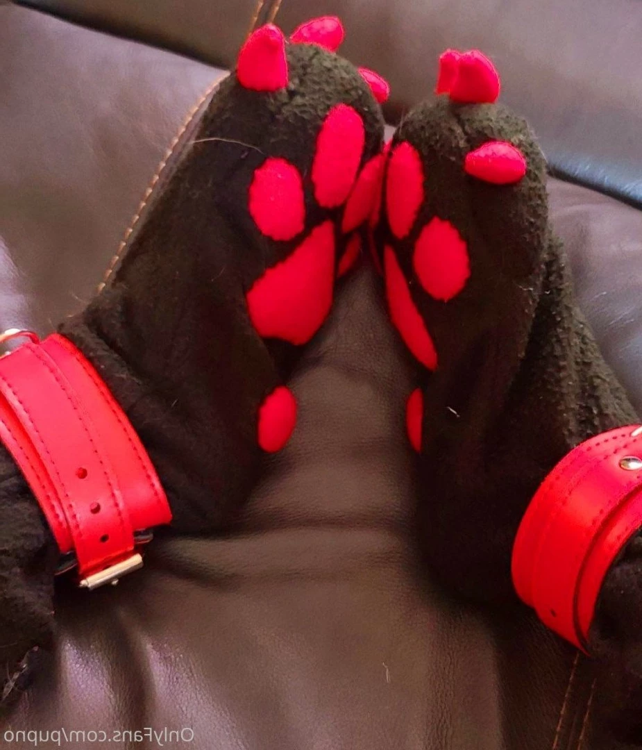 Kodi [ kodi_pup ] Onlyfans leaked photo 3200252 on Hotleaks.tv