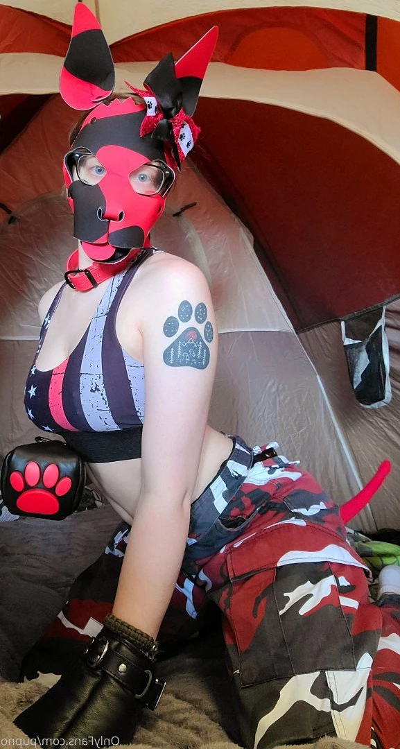 Kodi [ kodi_pup ] Onlyfans leaked photo 3201204 on Hotleaks.tv