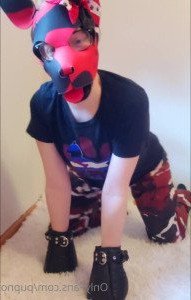 Kodi [ kodi_pup ] Onlyfans leaked video 3978033 on Hotleaks.tv