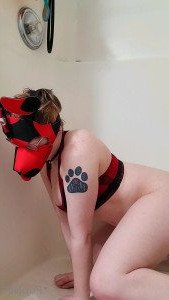 Kodi [ kodi_pup ] Onlyfans leaked video 3978227 on Hotleaks.tv