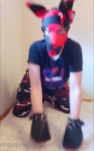 Kodi [ kodi_pup ] Onlyfans leaked video 3978563 on Hotleaks.tv