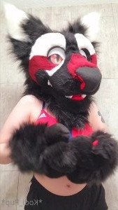 Kodi [ kodi_pup ] Onlyfans leaked video 3978936 on Hotleaks.tv