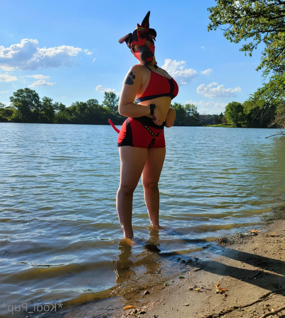 Kodi [ kodi_pup ] Onlyfans leaked photo 6018766 on Hotleaks.tv