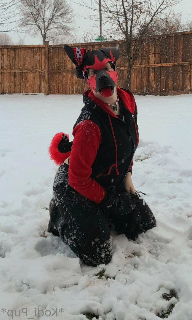 Kodi [ kodi_pup ] Onlyfans leaked photo 9833924 on Hotleaks.tv