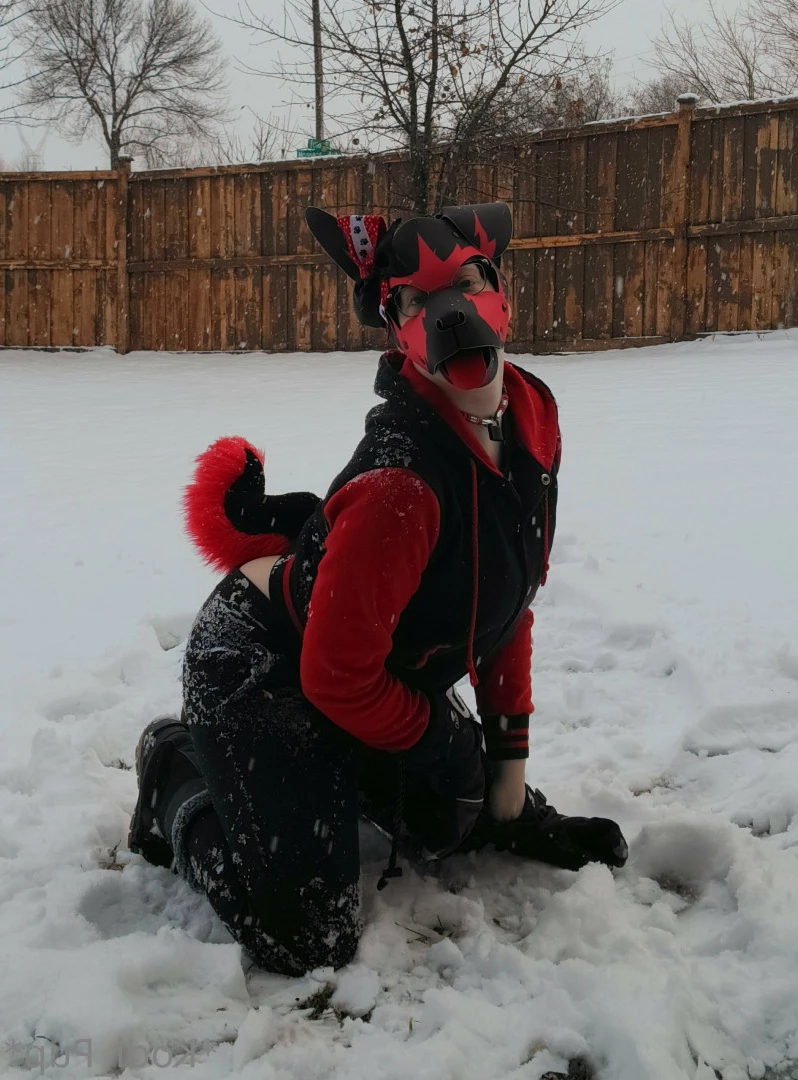 Kodi [ kodi_pup ] Onlyfans leaked photo 9833972 on Hotleaks.tv