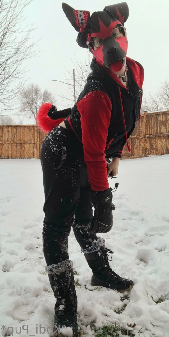 Kodi [ kodi_pup ] Onlyfans leaked photo 9833990 on Hotleaks.tv