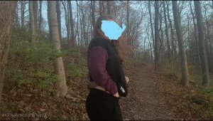 3981766
