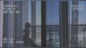 18301526