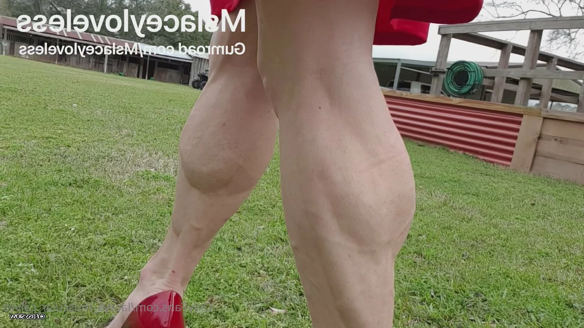 Ms Lacey Loveless [ laceys_muscular_calves ] Onlyfans leaked photo 3453037 on Hotleaks.tv