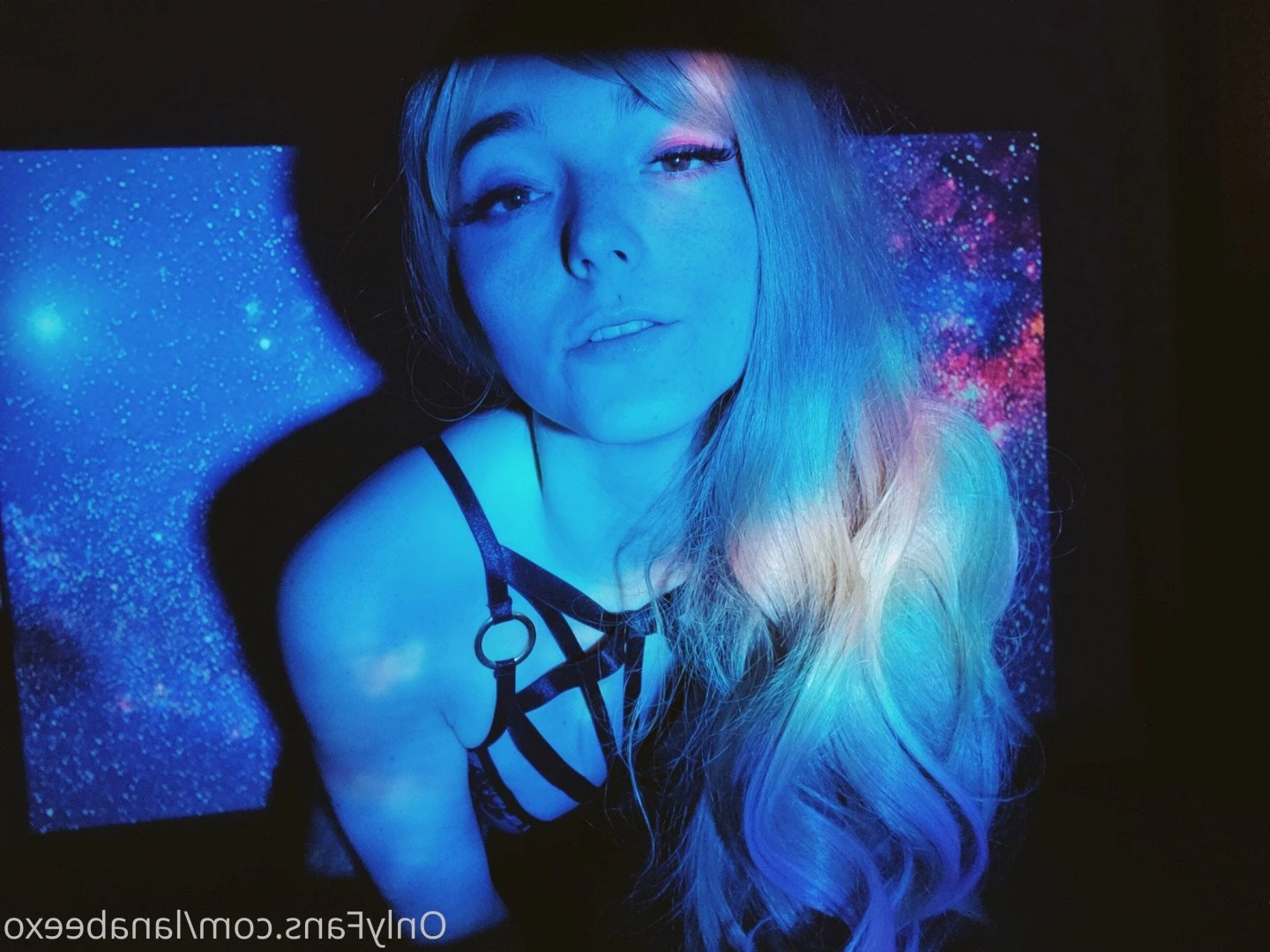Lana Bee 🐶 (they/them) [ lanabeexo ] Onlyfans leaked photo 3233686 on Hotleaks.tv