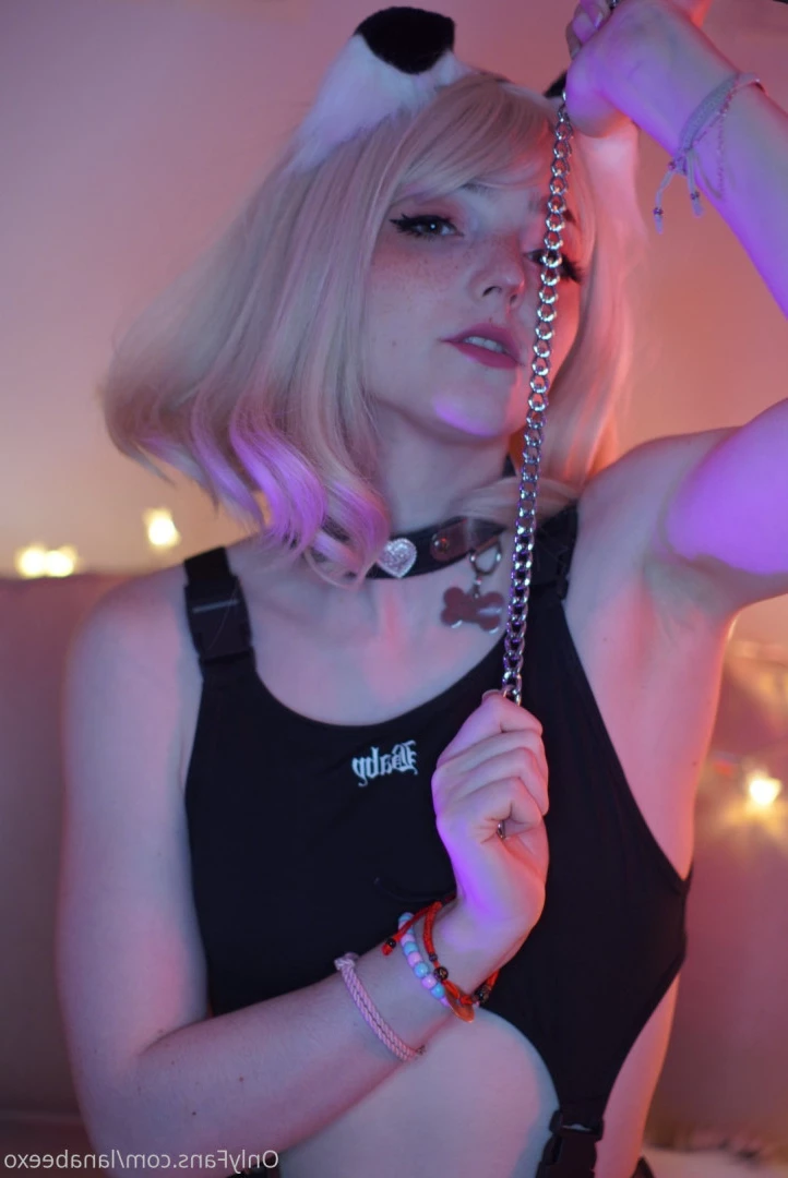 Lana Bee 🐶 (they/them) [ lanabeexo ] Onlyfans leaked photo 9435078 on Hotleaks.tv
