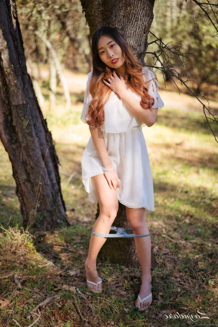 Alina Lin [ layndare ] Onlyfans leaked photo 3106842 on Hotleaks.tv