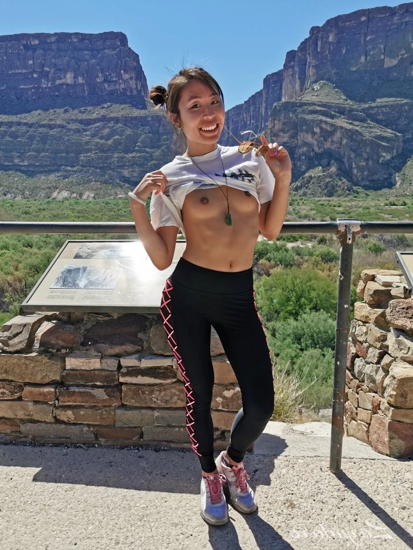 Alina Lin [ layndare ] Onlyfans leaked photo 3116622 on Hotleaks.tv
