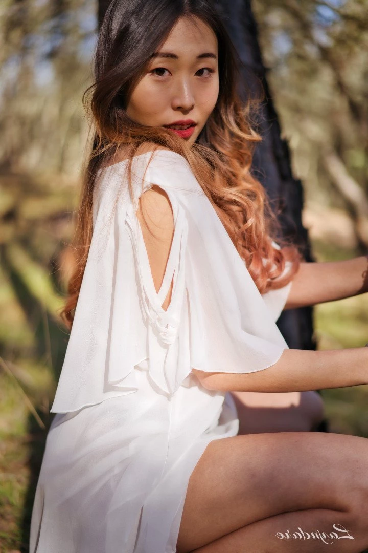 Alina Lin [ layndare ] Onlyfans leaked photo 3116810 on Hotleaks.tv