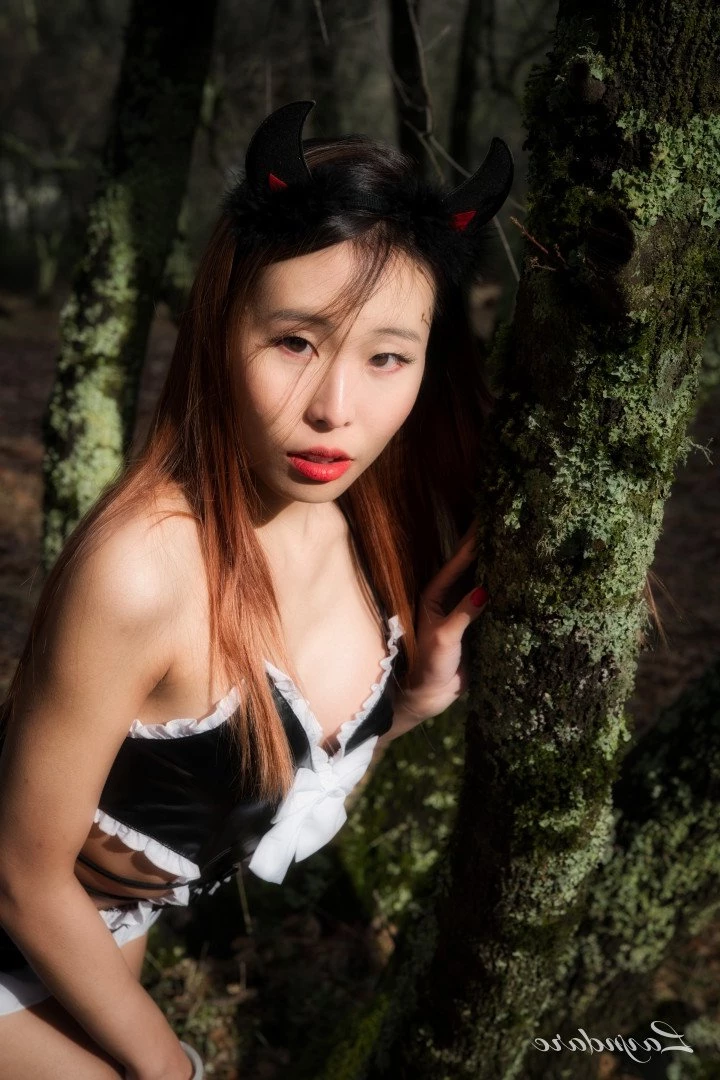 Alina Lin [ layndare ] Onlyfans leaked photo 3121562 on Hotleaks.tv
