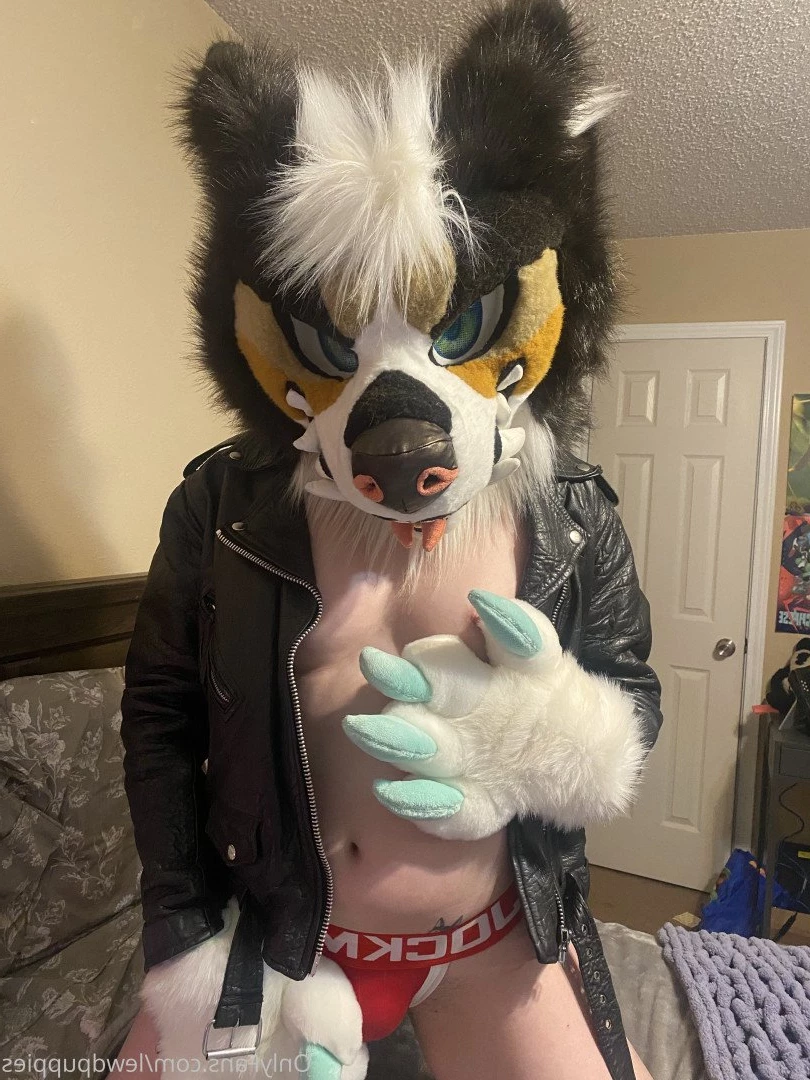Lewd Puppers 🔞 [ lewdpuppies ] Onlyfans leaked photo 3168475 on Hotleaks.tv