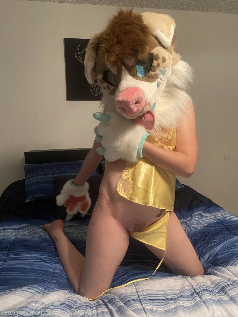 Lewd Puppers 🔞 [ lewdpuppies ] Onlyfans leaked photo 3168563 on Hotleaks.tv