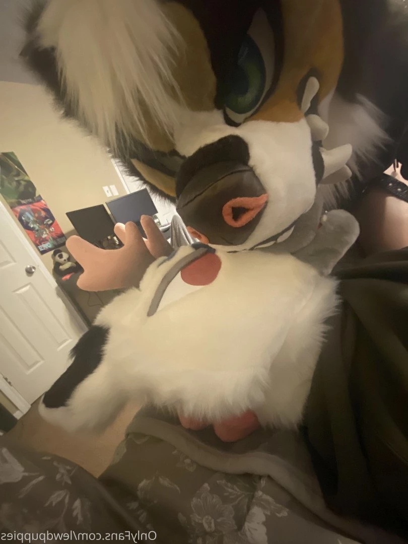 Lewd Puppers 🔞 [ lewdpuppies ] Onlyfans leaked photo 3168764 on Hotleaks.tv