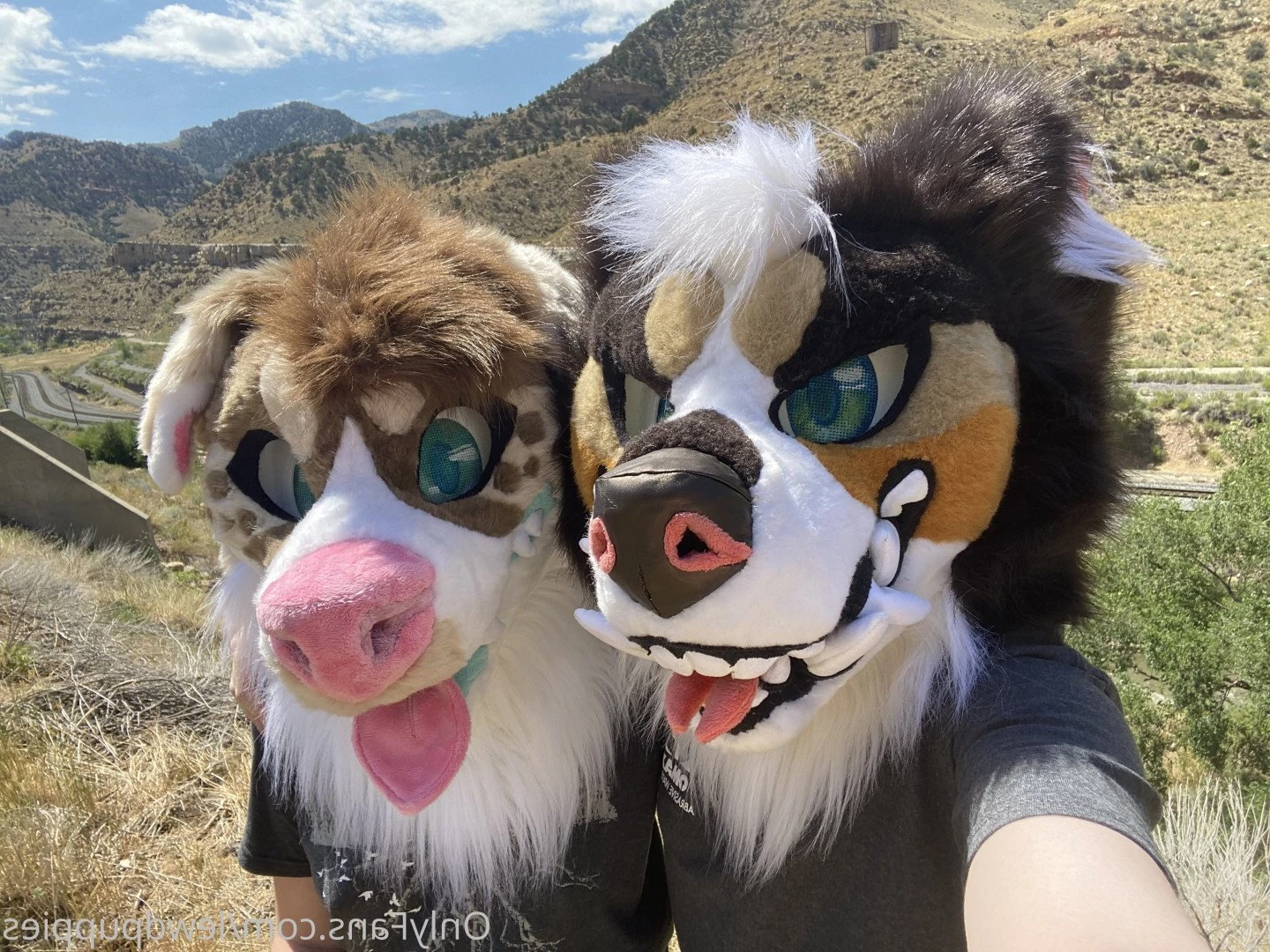 Lewd Puppers 🔞 [ lewdpuppies ] Onlyfans leaked photo 3168897 on Hotleaks.tv