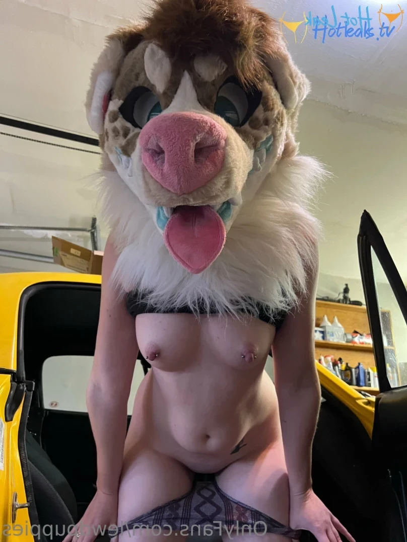 Lewd Puppers 🔞 [ lewdpuppies ] Onlyfans leaked photo 12686726 on Hotleaks.tv