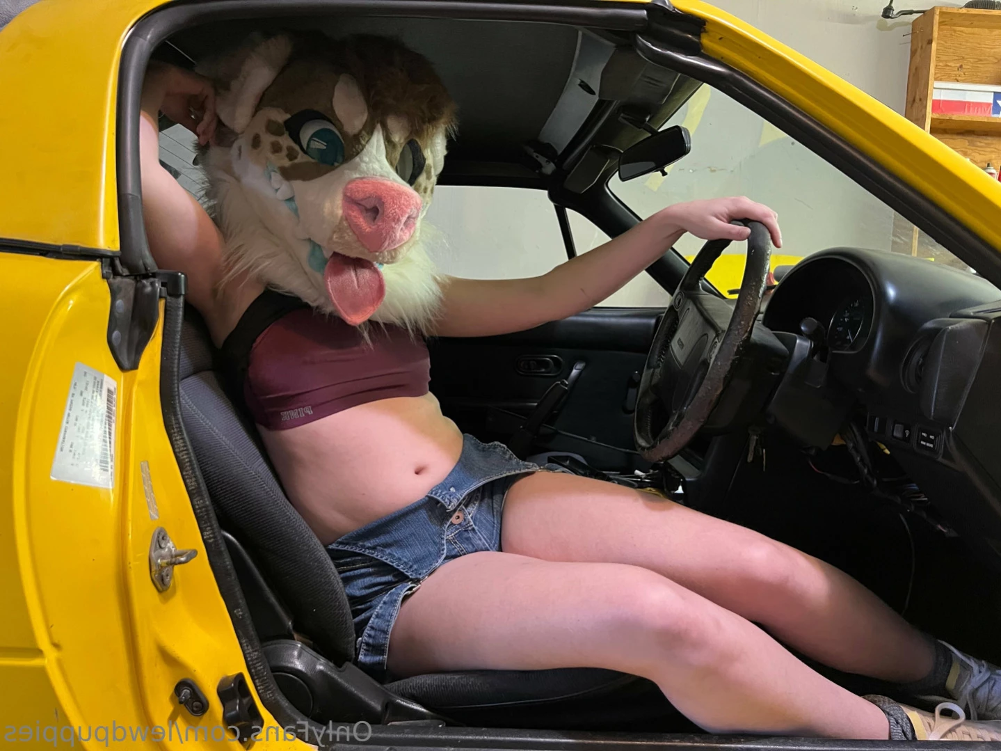 Lewd Puppers 🔞 [ lewdpuppies ] Onlyfans leaked photo 13099856 on Hotleaks.tv