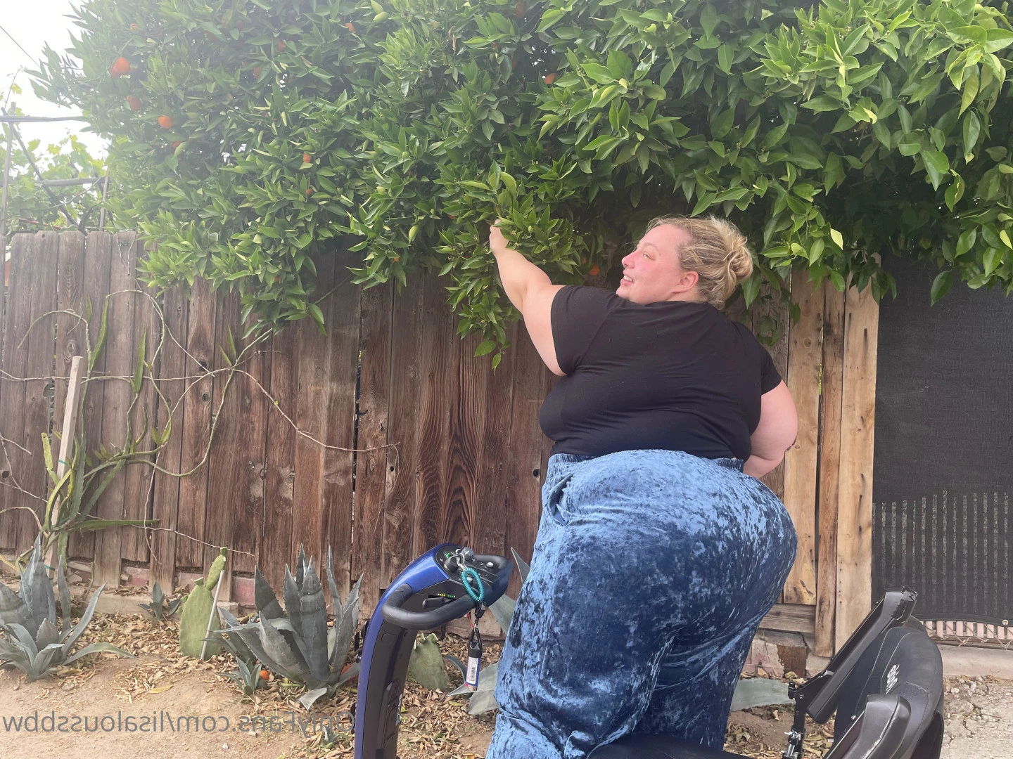 LisaLou [ lisaloussbbw ] Onlyfans leaked photo 6233395 on Hotleaks.tv