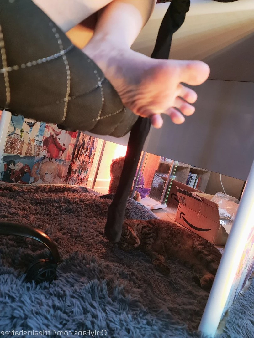 littlealrishafree Onlyfans leaked photo 3200335 on Hotleaks.tv