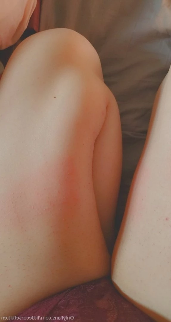 Eevee [ littleeevee66 ] Onlyfans leaked photo 3200626 on Hotleaks.tv