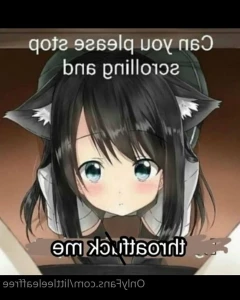 3136052