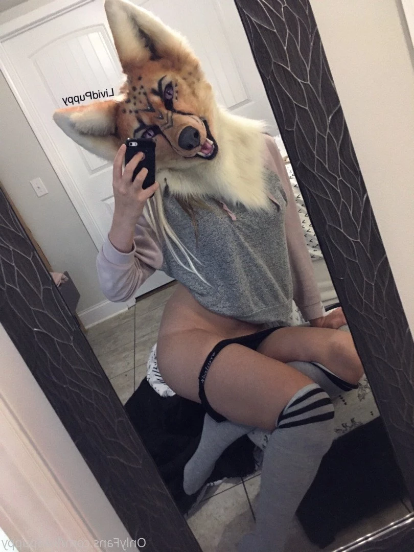 ⛓🖤 Livid 🖤⛓ [ lividpuppy ] Onlyfans leaked photo 3135606 on Hotleaks.tv