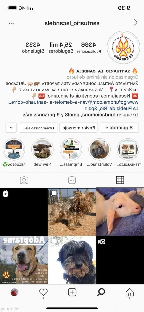 lo.lita18 Onlyfans leaked photo 3410815 on Hotleaks.tv