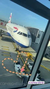 8911039