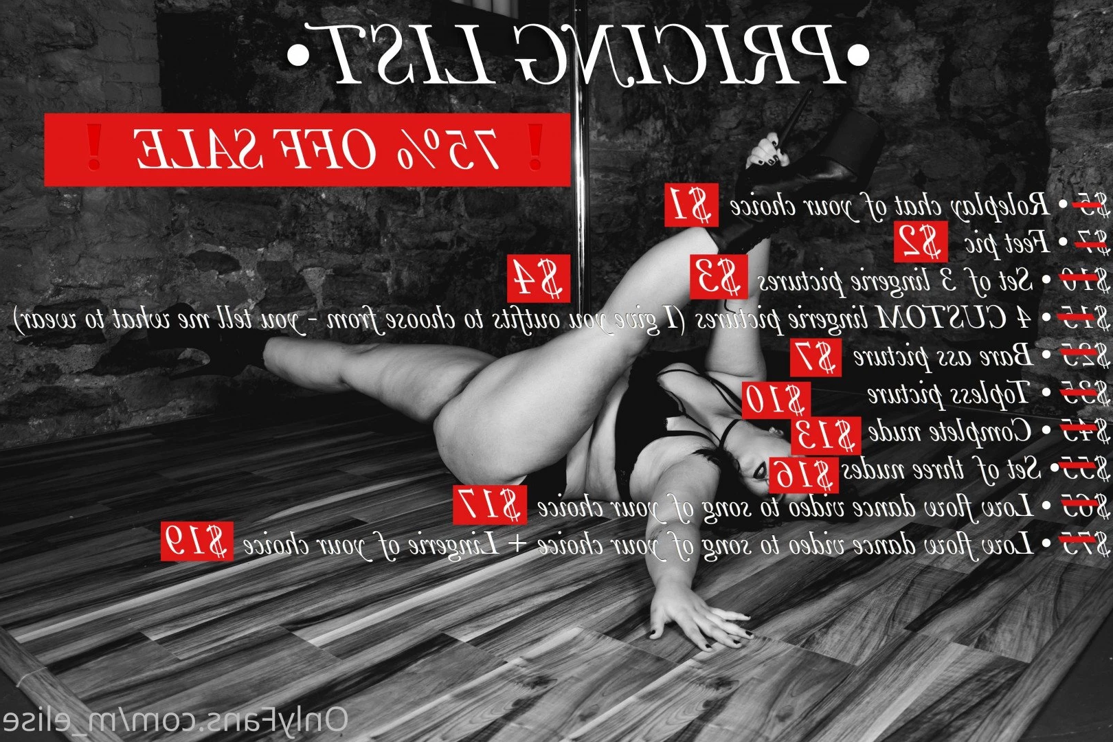 🥀Elise🥀 [ m_elise ] Onlyfans leaked photo 3124837 on Hotleaks.tv