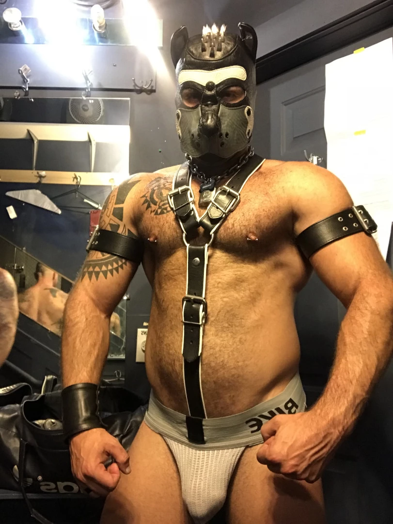 Macho [ machopup ] Onlyfans leaked photo 5844305 on Hotleaks.tv