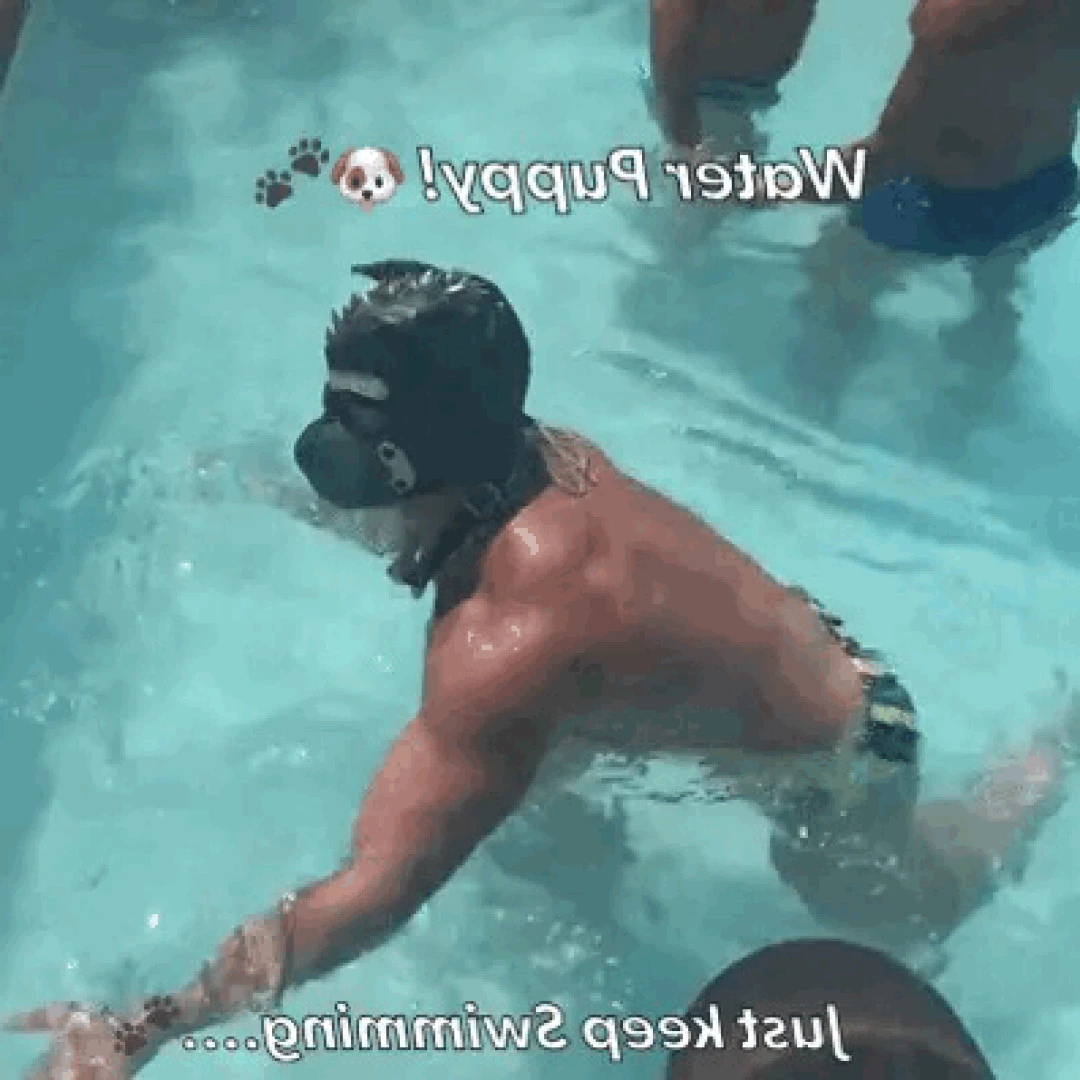 Macho [ machopup ] Onlyfans leaked photo 5844520 on Hotleaks.tv