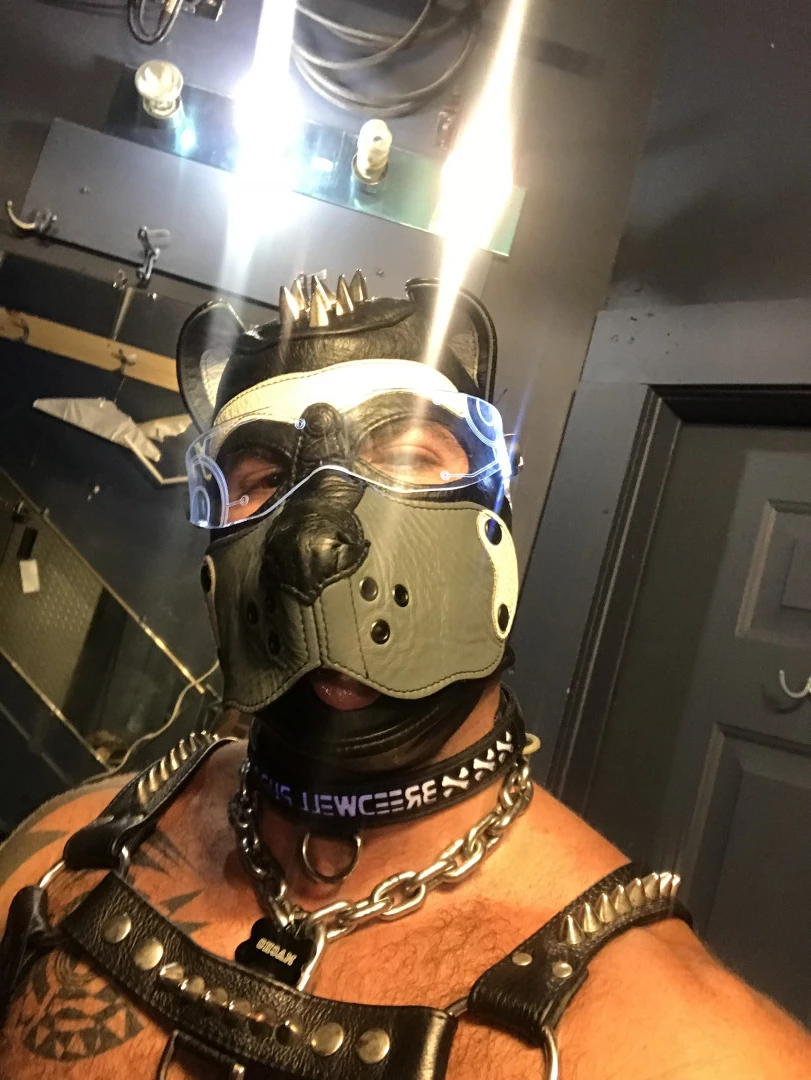 Macho [ machopup ] Onlyfans leaked photo 5844563 on Hotleaks.tv