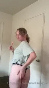 18299049