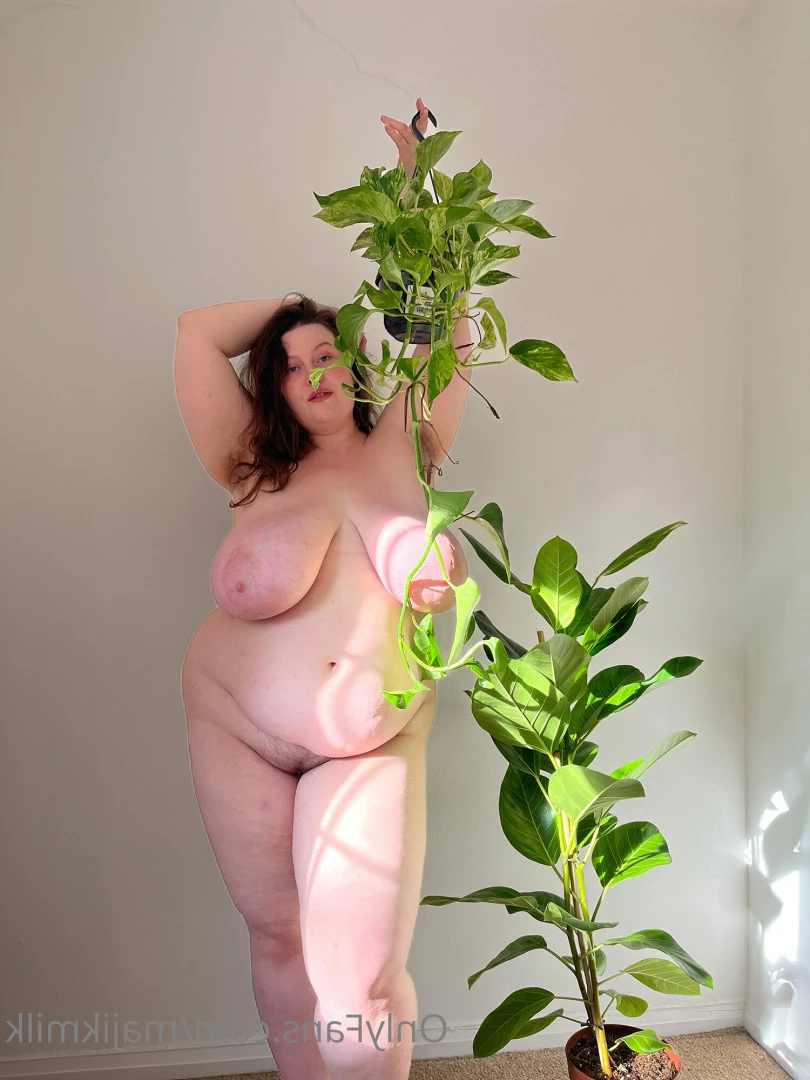Milk 🐄 British BBW [ majikmilk ] Onlyfans leaked photo 5882361 on Hotleaks.tv