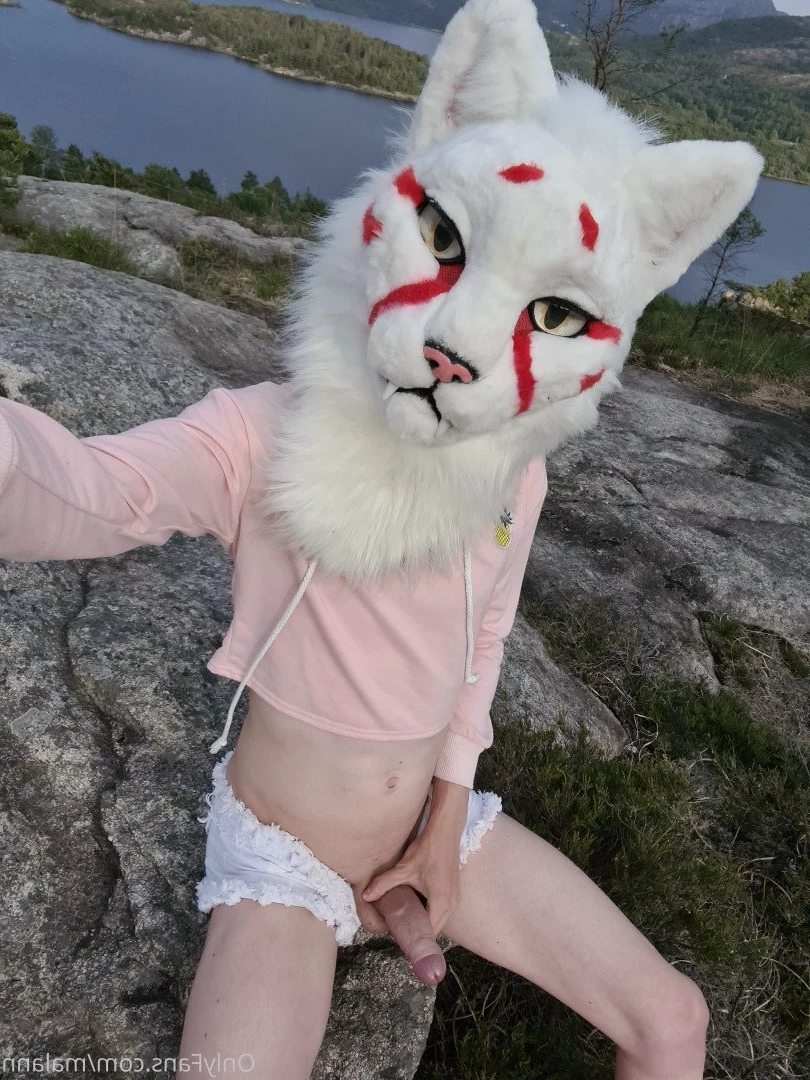 Malann the 🍑 kitty [ malann ] Onlyfans leaked photo 3079269 on Hotleaks.tv