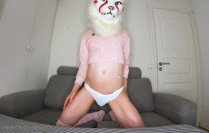 4213593