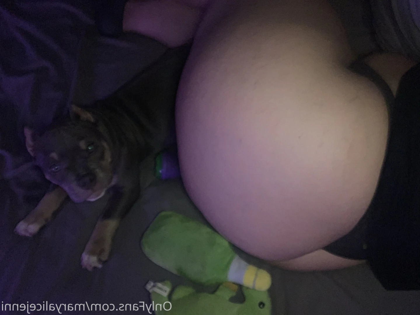 maryalicejenni Onlyfans leaked photo 12881509 on Hotleaks.tv